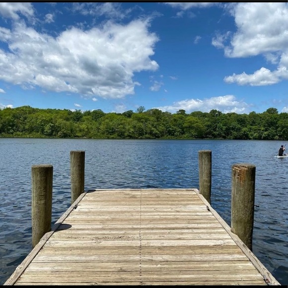 Meet your Posher, Patty - Picture 6 of 7